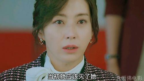 我的财阀老婆,权势与爱情的纠葛