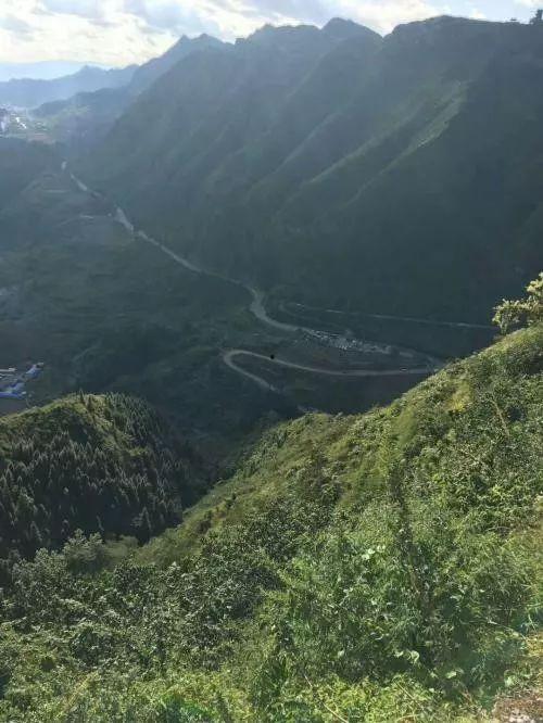 大山里的致富路,探索生态农业与乡村旅游的融合之路