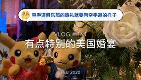 南多福多尔和会说话的猫鼬